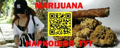 гидропоника Канаш
