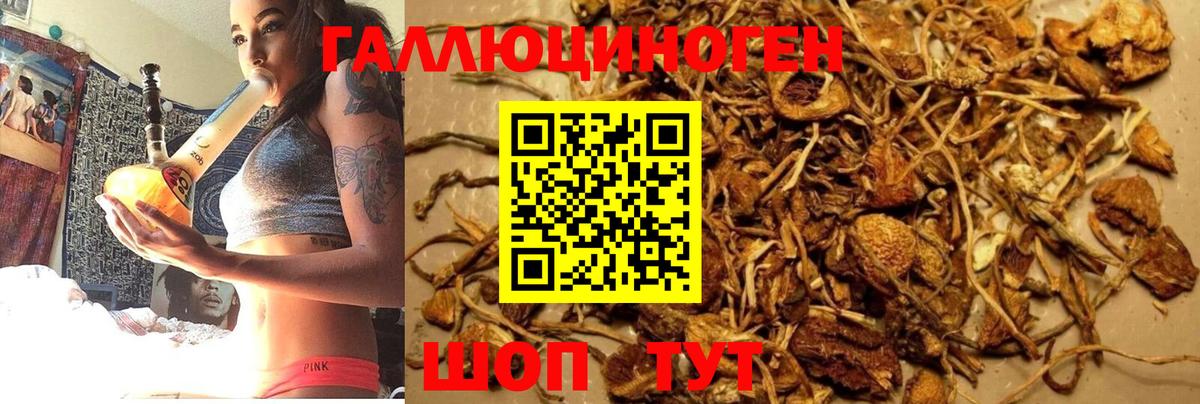 Курчатов  Галлюциногенные грибы Magic Shrooms  Вход с VPN 