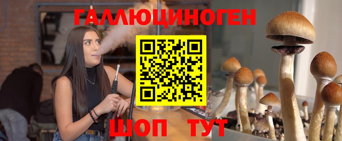 Галлюциногенные грибы GOLDEN TEACHER Курчатов